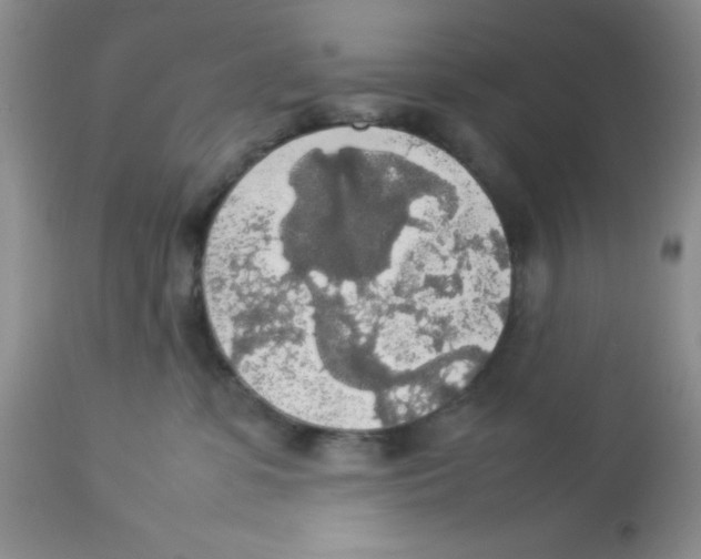 X0000112830331200909181655