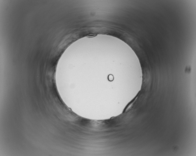 X0000112830333200909181655