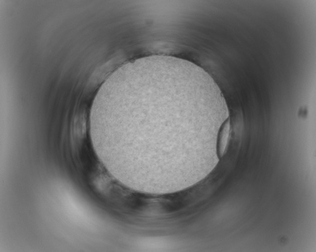 X0000112830334200909181655