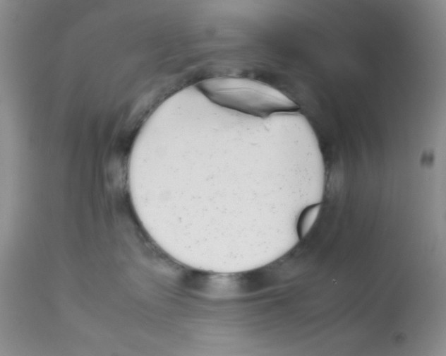 X0000112830335200909181655