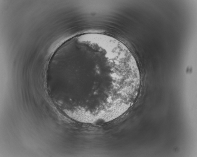 X0000112830337200909181655