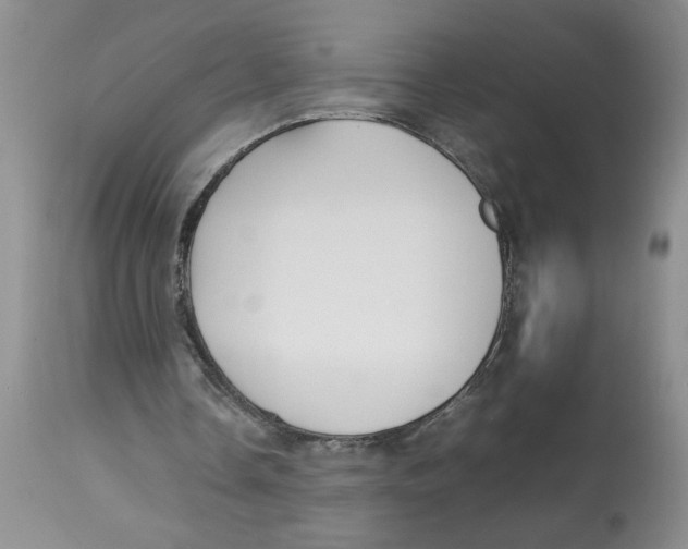 X0000112830338200909181655