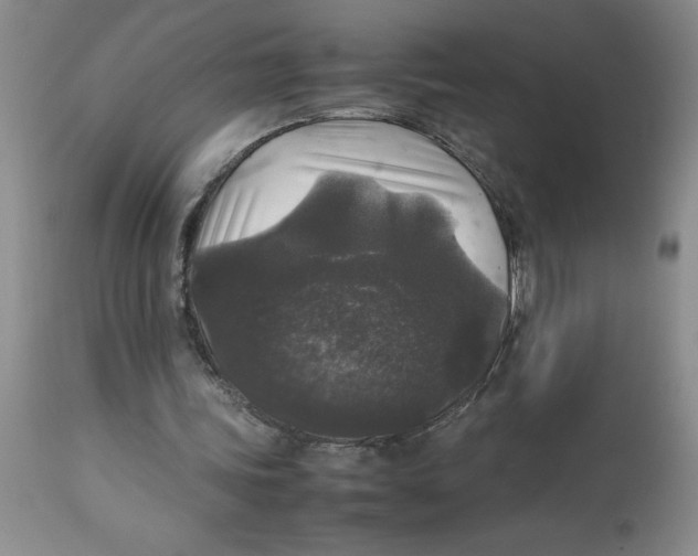 X0000112830339200909181655