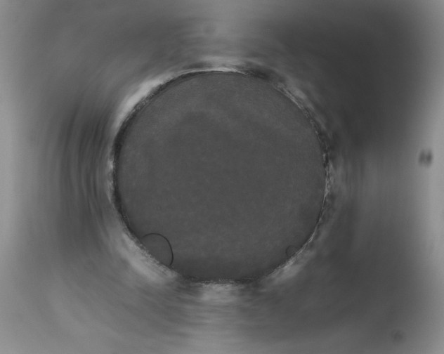 X0000112830342200909181655