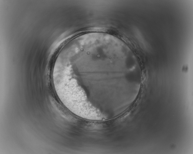 X0000112830343200909181655