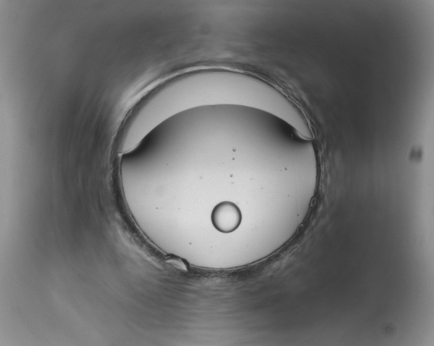 X0000112830344200909181655