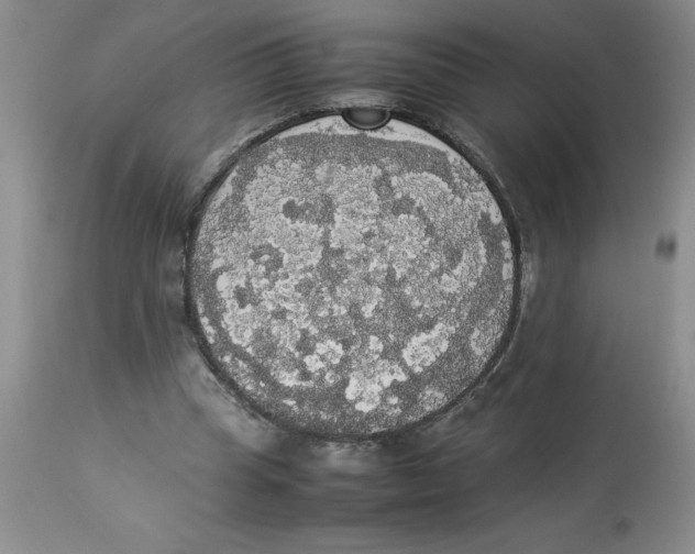 X0000112830345200909181655