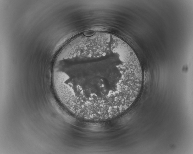 X0000112830349200909181655