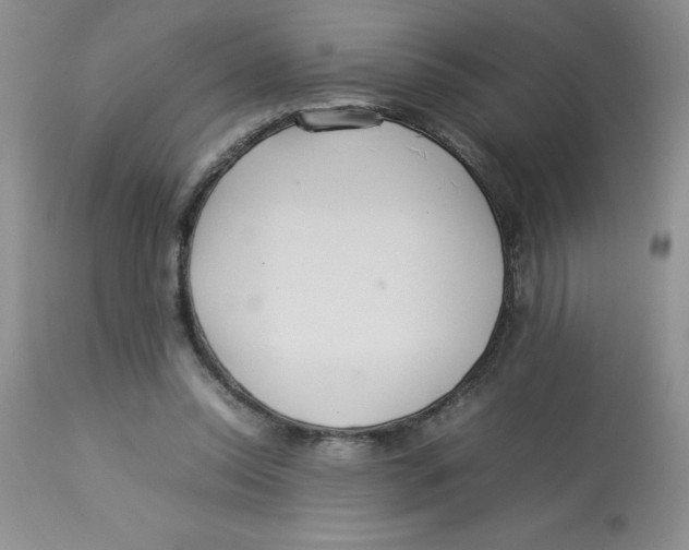 X0000112830350200909181655