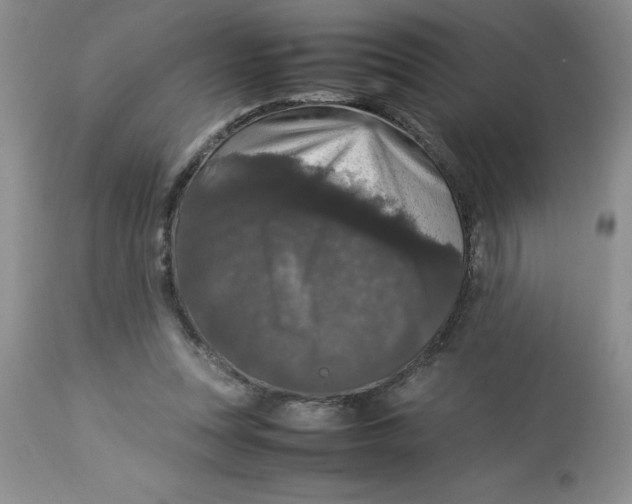 X0000112830351200909181655