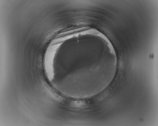 X0000112830353200909181655