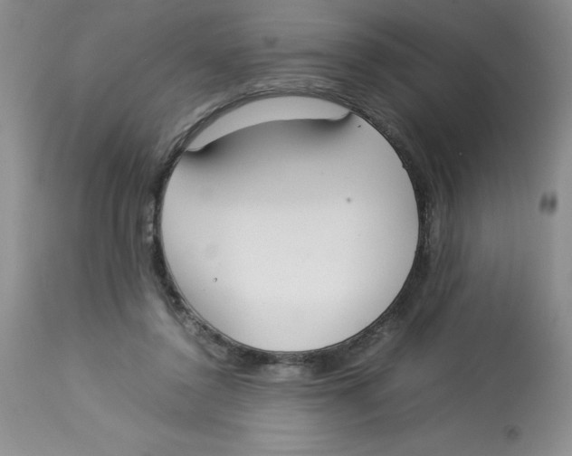 X0000112830356200909181655