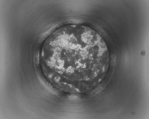 X0000112830358200909181655