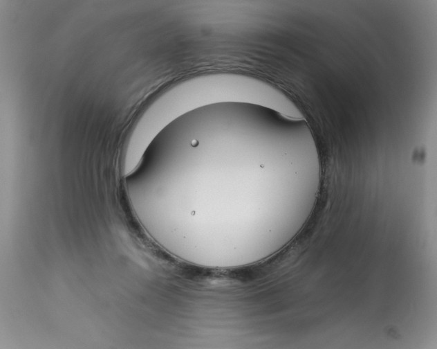 X0000112830360200909181655