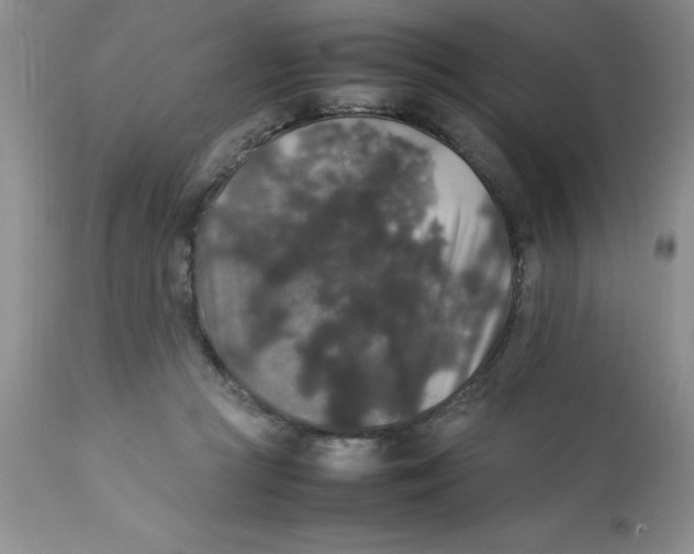 X0000112830361200909181655