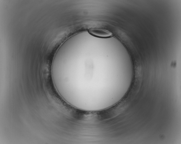 X0000112830362200909181655