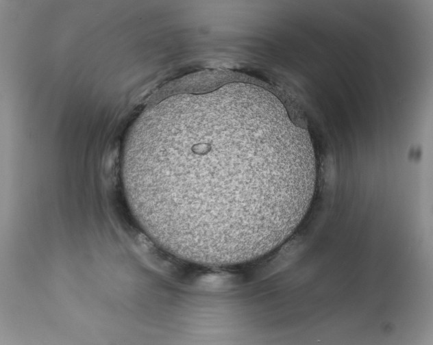 X0000112830364200909181655