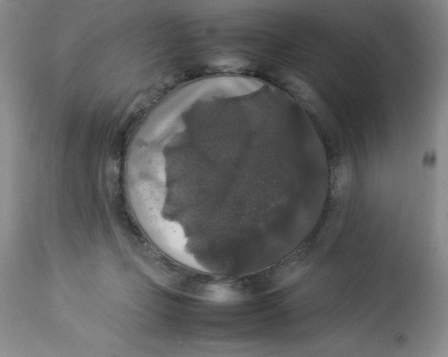 X0000112830365200909181655