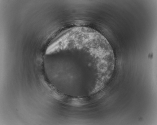 X0000112830367200909181655