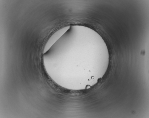 X0000112830368200909181655