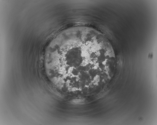 X0000112830369200909181655