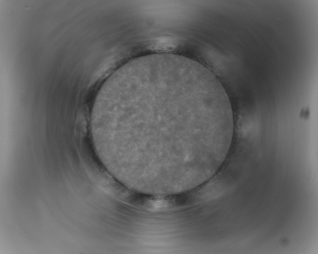 X0000112830370200909181655