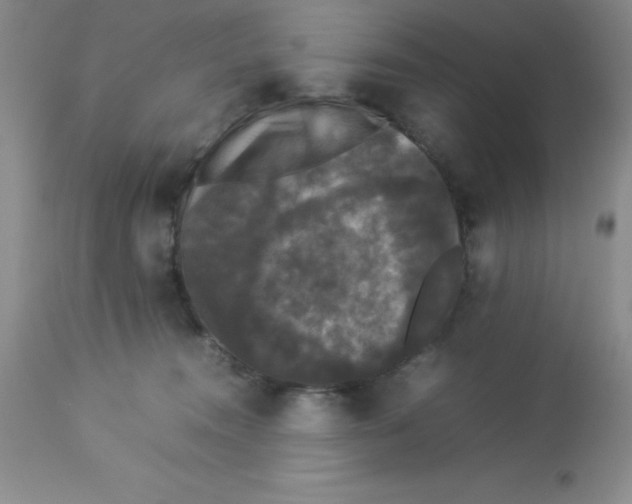 X0000112830372200909181655