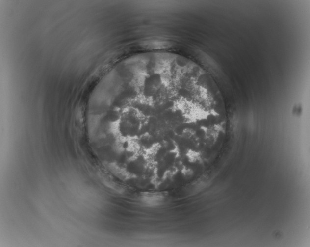 X0000112830373200909181655