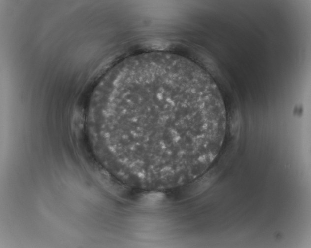 X0000112830374200909181655