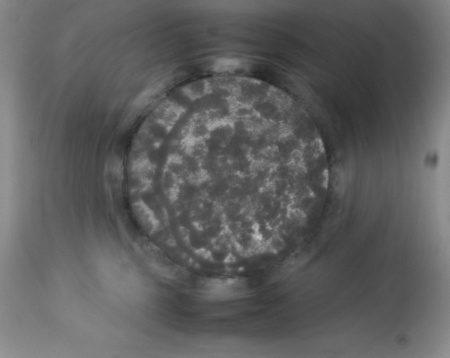 X0000112830375200909181655