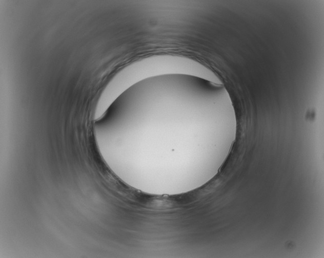 X0000112830376200909181655