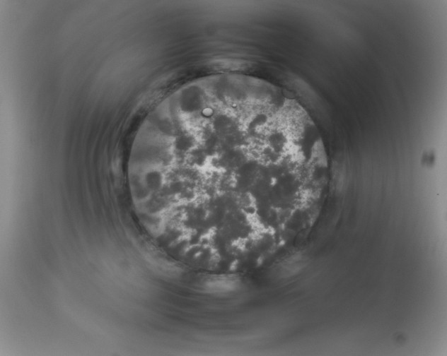 X0000112830377200909181655