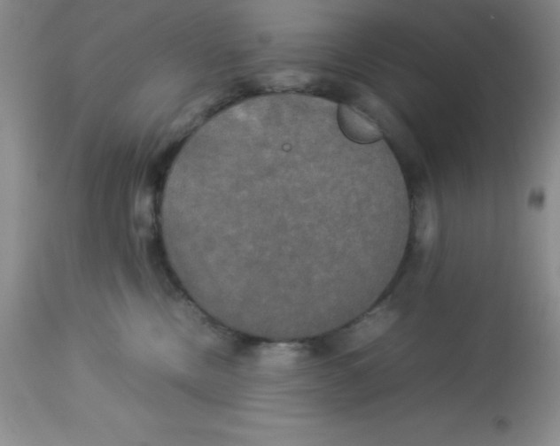 X0000112830378200909181655