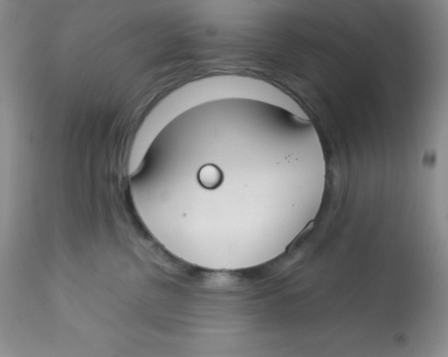 X0000112830380200909181655