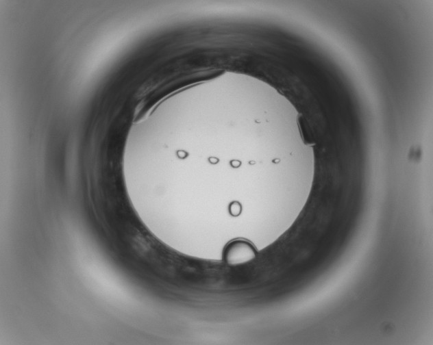 X0000112830382200909181655