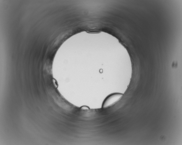 X0000112830384200909181655