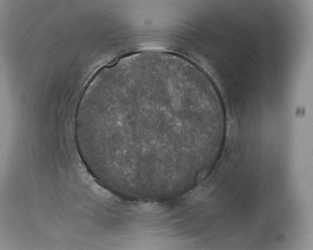 X0000112830385200909181655