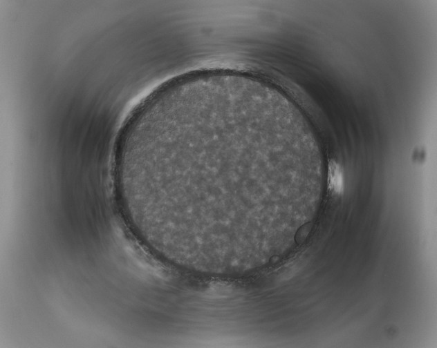 X0000112830388200909181654