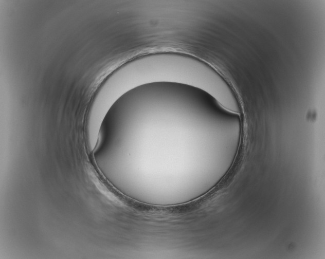 X0000112830389200909181654