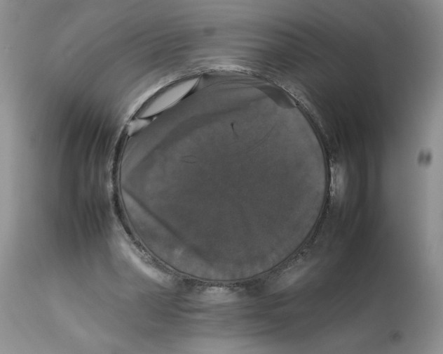 X0000112830390200909181654