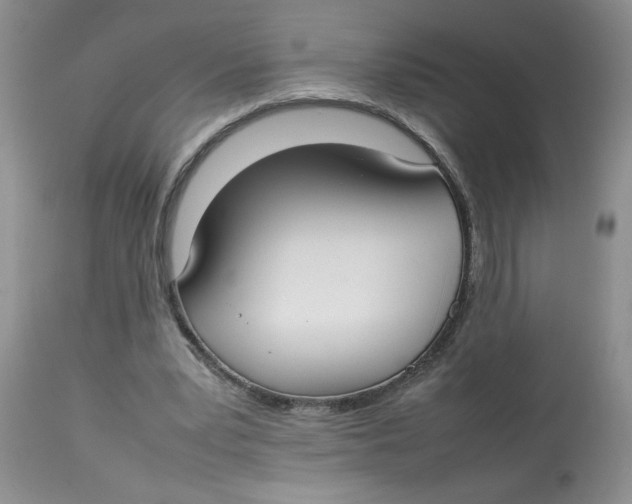 X0000112830391200909181654