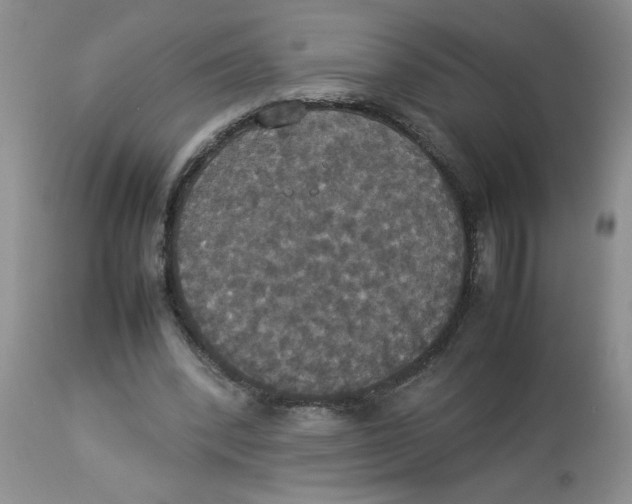 X0000112830392200909181654