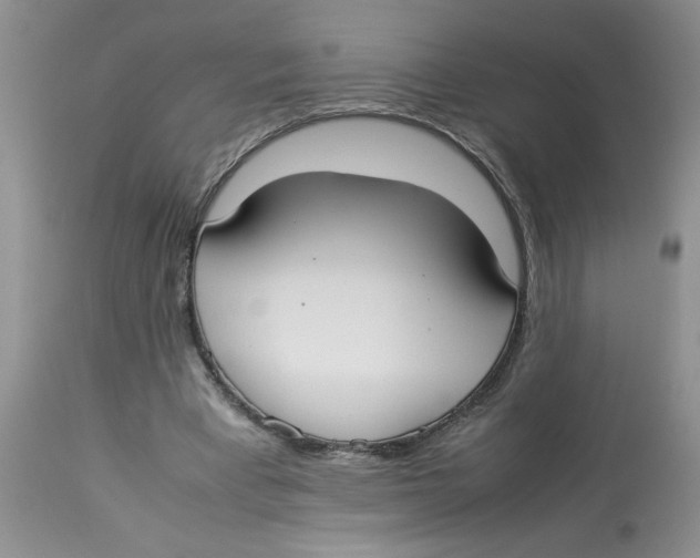 X0000112830393200909181654