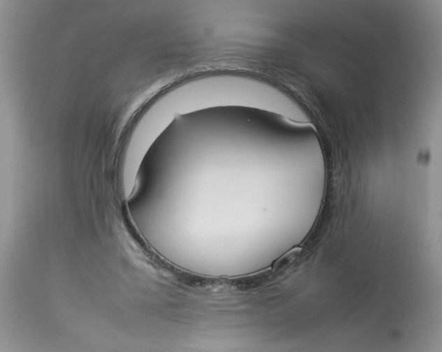 X0000112830395200909181654