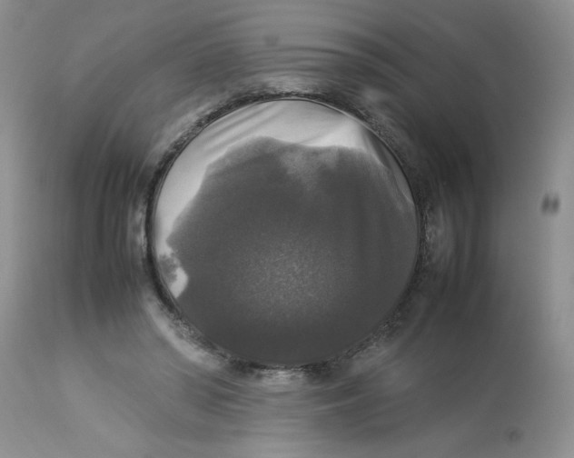 X0000112830398200909181654