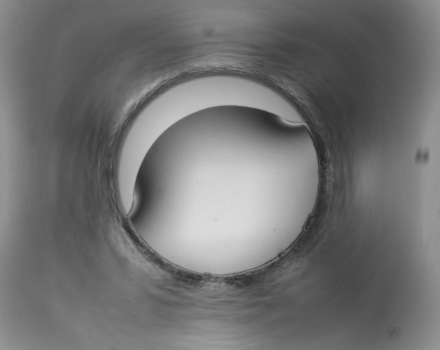 X0000112830399200909181654