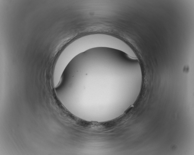 X0000112830403200909181654