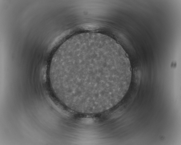 X0000112830404200909181654