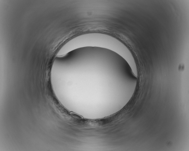 X0000112830405200909181654