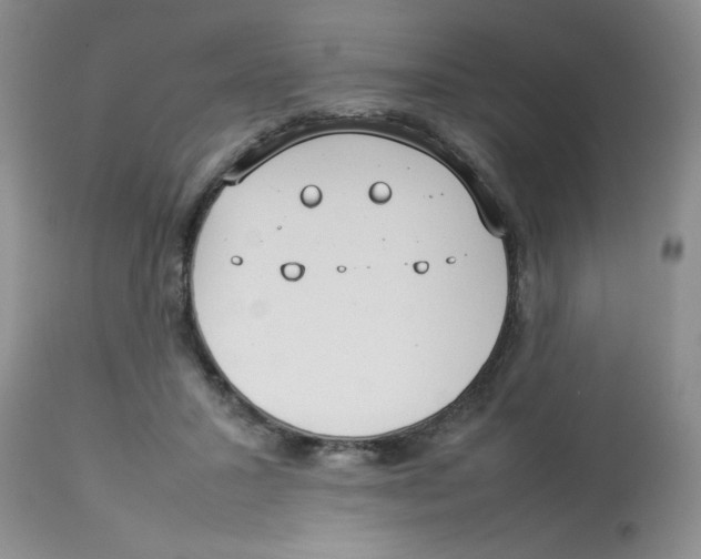 X0000112830407200909181654